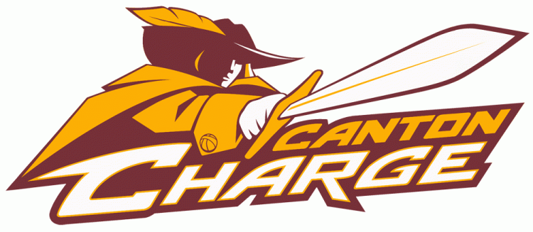 Canton Charge 2011-Pres Primary Logo iron on transfers for clothing